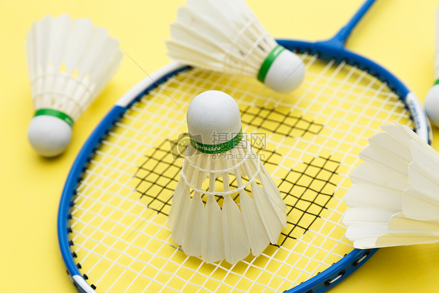 家科技公司 家科技公司