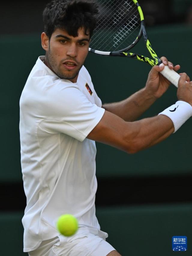 斜体提示的 斜体提示的