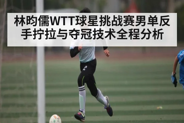 林昀儒WTT球星挑战赛男单反手拧拉与夺冠技术全程分析